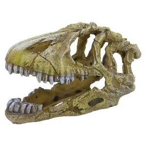 도핀 공룡뼈 장식 U-714